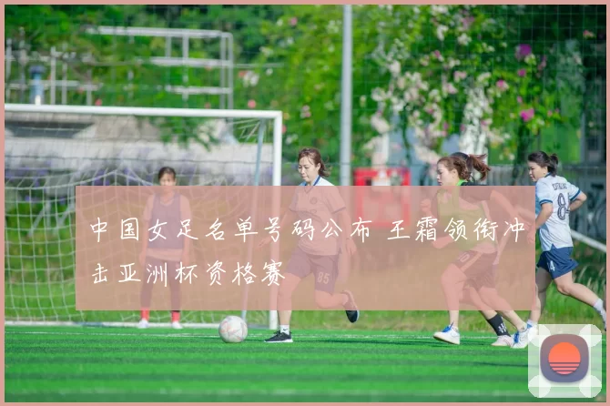 中国女足名单号码公布 王霜领衔冲击亚洲杯资格赛