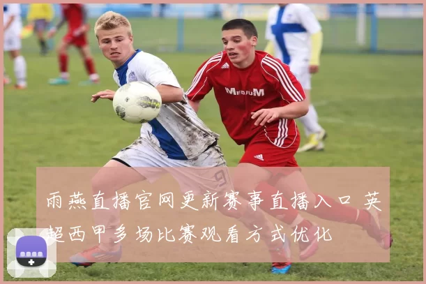 雨燕直播官网更新赛事直播入口 英超西甲多场比赛观看方式优化