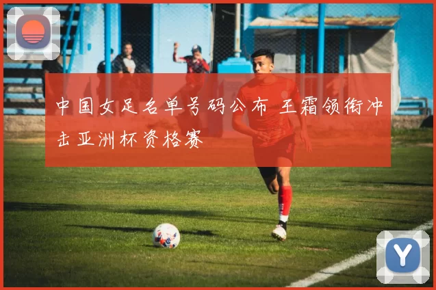 中国女足名单号码公布 王霜领衔冲击亚洲杯资格赛