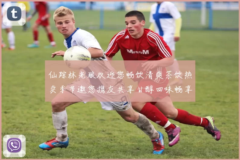 仙踪林老狼欢迎您畅饮清爽茶饮热卖季节邀您携友共享甘醇回味畅享