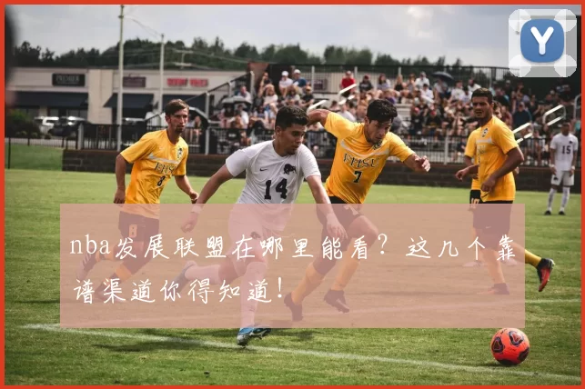 nba发展联盟在哪里能看？这几个靠谱渠道你得知道！