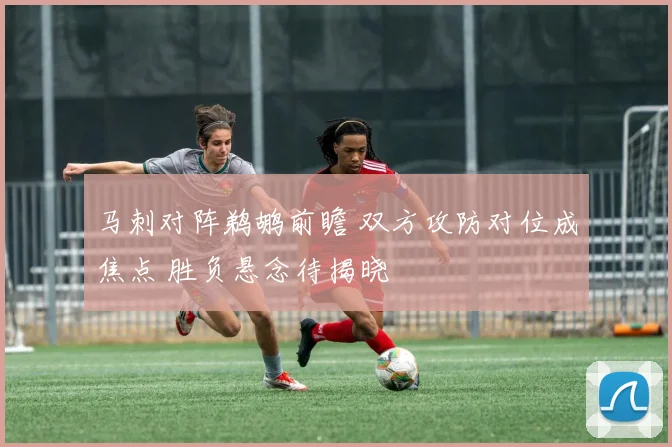 马刺对阵鹈鹕前瞻 双方攻防对位成焦点 胜负悬念待揭晓