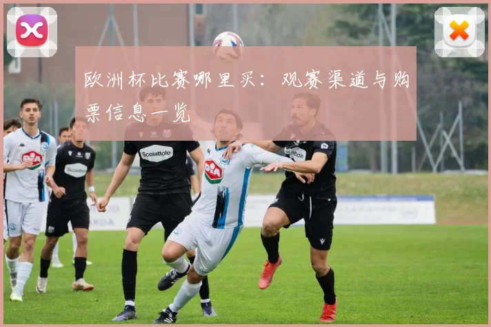 欧洲杯比赛哪里买：观赛渠道与购票信息一览